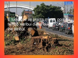 E tudo que se planta morre, pois o tempo retribui o mal que o homem lhe atribui. 