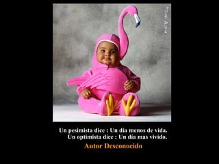 Un pesimista dice : Un día menos de vida. Un optimista dice : Un día mas vivido. Autor Desconocido 