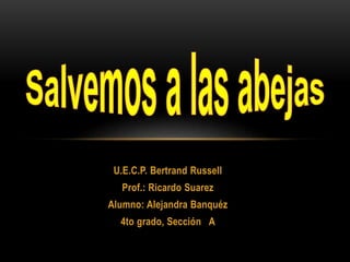 U.E.C.P. Bertrand Russell
Prof.: Ricardo Suarez
Alumno: Alejandra Banquéz
4to grado, Sección A
 