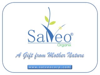 www.salveocorp.com  