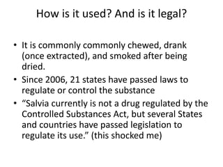 How is it used? And is it legal? 
• It is commonly commonly chewed, drank 
(once extracted), and smoked after being 
dried. 
• Since 2006, 21 states have passed laws to 
regulate or control the substance 
• “Salvia currently is not a drug regulated by the 
Controlled Substances Act, but several States 
and countries have passed legislation to 
regulate its use.” (this shocked me) 
 