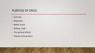 PURPOSE OF DRUG
• Curiosity
• Relaxation
• Better mood
• Getting “high”
• The spiritual effects
• Popular among teens
 