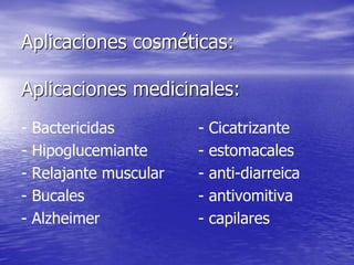 Aplicaciones cosméticas:

Aplicaciones medicinales:
-   Bactericidas         -   Cicatrizante
-   Hipoglucemiante      -   estomacales
-   Relajante muscular   -   anti-diarreica
-   Bucales              -   antivomitiva
-   Alzheimer            -   capilares
 