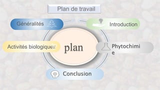 plan
Généralités
Activités biologiques
Conclusion
Phytochimi
e
Introduction
Plan de travail
 