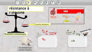 flexibilité métabolique
glucides
Lipides
rats dyslipémiques
insulino-résistance
AG
Glu
Sensibilité
insuline
AG
Glu
AG
AG
S...