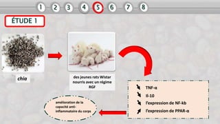 ÉTUDE 1
des jeunes rats Wistar
nourris avec un régime
RGF
chia
TNF-α
Il-10
l’expression de NF-kb
l’expression de PPAR-α
am...