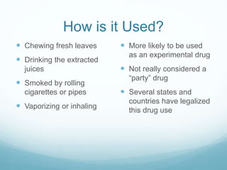How is it Used?
 Chewing fresh leaves
 Drinking the extracted
juices
 Smoked by rolling
cigarettes or pipes
 Vaporizing or inhaling
 More likely to be used
as an experimental drug
 Not really considered a
“party” drug
 Several states and
countries have legalized
this drug use
 