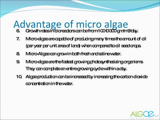 Advantage of micro algae 6. Growth rates in bioreactors can be from 100 – 300 gm/m3/day. 7. Micro-algae are capable of producing many times the amount of oil (per year per unit area of land) when compared to oil seed crops. 8.  Micro-Algae can grow in both fresh and saline water.  9. Micro-algae are the fastest growing photosynthesizing organisms. They can complete an entire growing cycle within a day. 10. Algae production can be increased by increasing the carbon dioxide concentration in the water. 