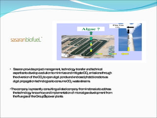 Sasaran provides project management, technology transfer and technical  expertise to develop a solution to minimize and mitigate CO 2  emissions through  the diversion of the CO 2  to open algal ponds and enclosed photobioractors as  algal propagation technologies to consume CO 2  waste streams.  The company is presently consulting a listed company from Indonesia to address  the technology know-how and implementation of microalgae development from  the flue gas of the Group’s power plants.  