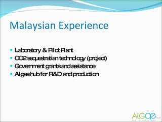 Laboratory  & Pilot Plant CO2 sequestratian technology (project) Government grants and assistance Algae hub for R&D and production Malaysian Experience 