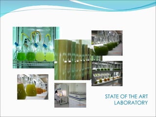 STATE OF THE ART LABORATORY 