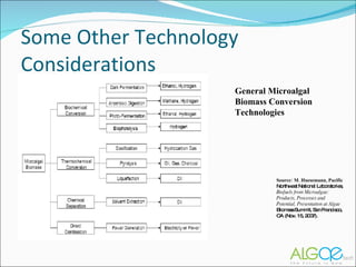 Some Other Technology Considerations Source: M. Huesemann, Pacific Northwest National Laboratories, Biofuels from Microalgae: Products, Processes and Potential, Presentation at Algae Biomass Summit, San Francisco, CA (Nov. 15, 2007). General Microalgal Biomass Conversion Technologies 