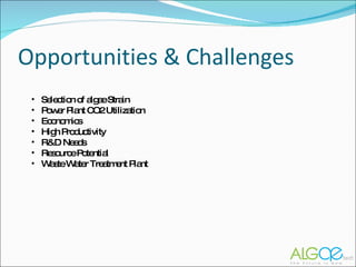 Opportunities & Challenges Selection of algae Strain Power Plant CO2 Utilization Economics High Productivity R&D Needs Resource Potential Waste Water Treatment Plant 
