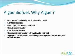 Algae Biofuel, Why Algae ? Much greater productivity than the terrestrial plants Non-food resources Use non-productive land, usually arid Can utilize saline water Can utilize CO2 waste Can be used in conjunction with waste water treatment Algae produce oils, protein, and carbohydrates, equivalent to bio-diesel, bio-ethanol and food 