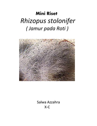 Mini Riset
Rhizopus stolonifer
( Jamur pada Roti )
Salwa Azzahra
X-C
 