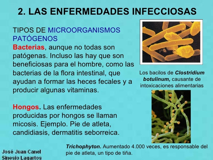 Los medios eficaces al hongo de la piel