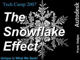 Tech Camp 2007 The Snowflake  Effect Unique is What We Seek! Wayne  Hodgins 