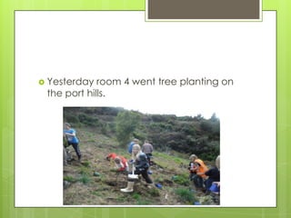 Yesterday room 4 went tree planting on
the port hills.
 
