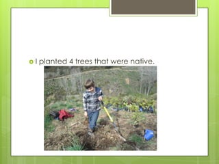  I planted 4 trees that were native.
 