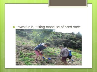  It was fun but tiring because of hard roots.
 