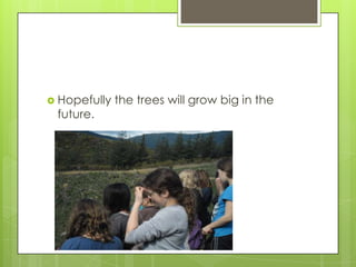  Hopefully the trees will grow big in the
future.
 