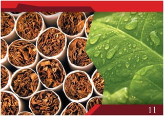 Sampoerna company Profile