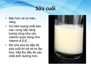 Sữa cuối
• Đặc hơn và có màu
vàng
• Có hàm lượng chất béo
cao, cung cấp năng
lượng cũng như các
vitamin quan trọng như
vitamin A,D,E…
• Khi cho sữa bú đầy đủ
sữa cuối thì trẻ sẽ no lâu
hơn, hấp thu đầy đủ các
chất dinh dưỡng hơn.
 