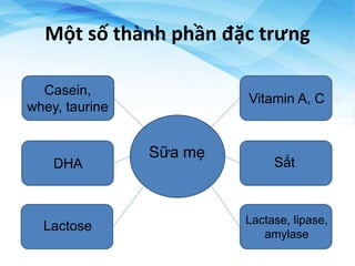 Một số thành phần đặc trưng
Sữa mẹ
Casein,
whey, taurine
DHA
Lactose
Vitamin A, C
Sắt
Lactase, lipase,
amylase
 