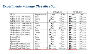 Experiments – Image Classification
 