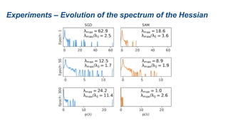 Experiments – Evolution of the spectrum of the Hessian
 