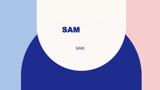 SAM
SAM
 