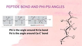 PEPTIDE BOND AND PHI-PSI ANGLES
7
Phi is the angle around N-Cα bond
Psi is the angle around Cα-C’ bond
 