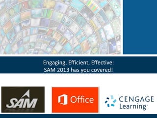 Engaging, Efficient, Effective:
SAM 2013 has you covered!
 