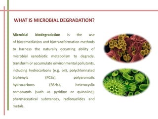 WHAT IS MICROBIAL DEGRADATION?
Microbial biodegradation is the use
of bioremediation and biotransformation methods
to harness the naturally occurring ability of
microbial xenobiotic metabolism to degrade,
transform or accumulate environmental pollutants,
including hydrocarbons (e.g. oil), polychlorinated
biphenyls (PCBs), polyaromatic
hydrocarbons (PAHs), heterocyclic
compounds (such as pyridine or quinoline),
pharmaceutical substances, radionuclides and
metals.
 