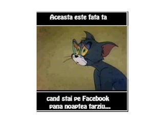 Sa mai zimbim