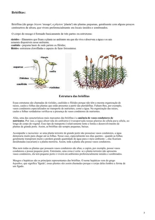 Estrutura das briófitas
Essas estruturas são chamadas de rizóides, caulóides e filóides porque não têm a mesma organização de
raízes, caules e folhas das plantas que estão presentes a partir das pteridófitas. Faltam-lhes, por exemplo,
vasos condutores especializados no transporte de nutrientes, como a água. Na organização das raízes,
caules e folhas verdadeiras verifica-se a presença de vasos condutores de nutrientes.
Aliás, uma das características mais marcantes das briófitas é a ausência de vasos condutores de
nutrientes. Por isso, a água absor vida do ambiente é tr anspor tada nessas plantas de célula par a célula, ao
longo do corpo do vegetal. Esse tipo de transporte é relativamente lento e limita o desenvolvimento de
plantas de grande porte. Assim, as briófitas são sempre pequenas, baixas.
Acompanhe o raciocínio: se uma planta terrestre de grande porte não possuísse vasos condutores, a água
demoraria muito para chegar até as folhas. Nesse caso, especialmente nos dias quentes - quando as folhas
geralmente transpiram muito e perdem grande quantidade de água para o meio ambiente -, elas ficariam
desidratadas (secariam) e a planta morreria. Assim, toda a planta alta possui vasos condutores.
Mas nem todas as plantas que possuem vasos condutores são altas; o capim, por exemplo, possui vasos
condutores e possui pequeno porte. Entretanto, uma coisa é certa: se a planta terrestre não apresenta
vasos condutores, ela terá pequeno porte e viverá em ambientes preferencialmente úmidos e sombreados.
Musgos e hepáticas são os principais representantes das briófitas. O nome hepáticas vem do grego
hepathos, que significa 'fígado'; essas plantas são assim chamadas porque o corpo delas lembra a forma de
um fígado.

7

 