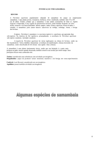 A samambaia é uma planta inteiramente tóxica, sendo que sua brotação é a parte mais
perigosa ao gado, mesmo quando dessecada, também conserva sua toxidez por muito tempo. Seus
princípios tóxicos mais conhecidos são:
Tanino: consider ada uma substância com atividade car cinogênica.
Ptaquilosídeo: capaz de pr oduzir tumor intestinal, mamár io e de bexiga em r atos exper imentais
Canferol: é um flavonol, consider ado um car cinogênico.
Aquilídeo: possui também atividade car cinogênica.

8

 