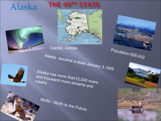 Alaska Capital, Juneau Population:626,932 Motto : North to the Future  Alaska  became a state January 3,1959 Alaska has more than12,000 rivers and thousand more streams and creeks 