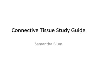 Connective Tissue Study Guide Samantha Blum 