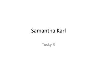 Samantha Karl
Tusky 3

 