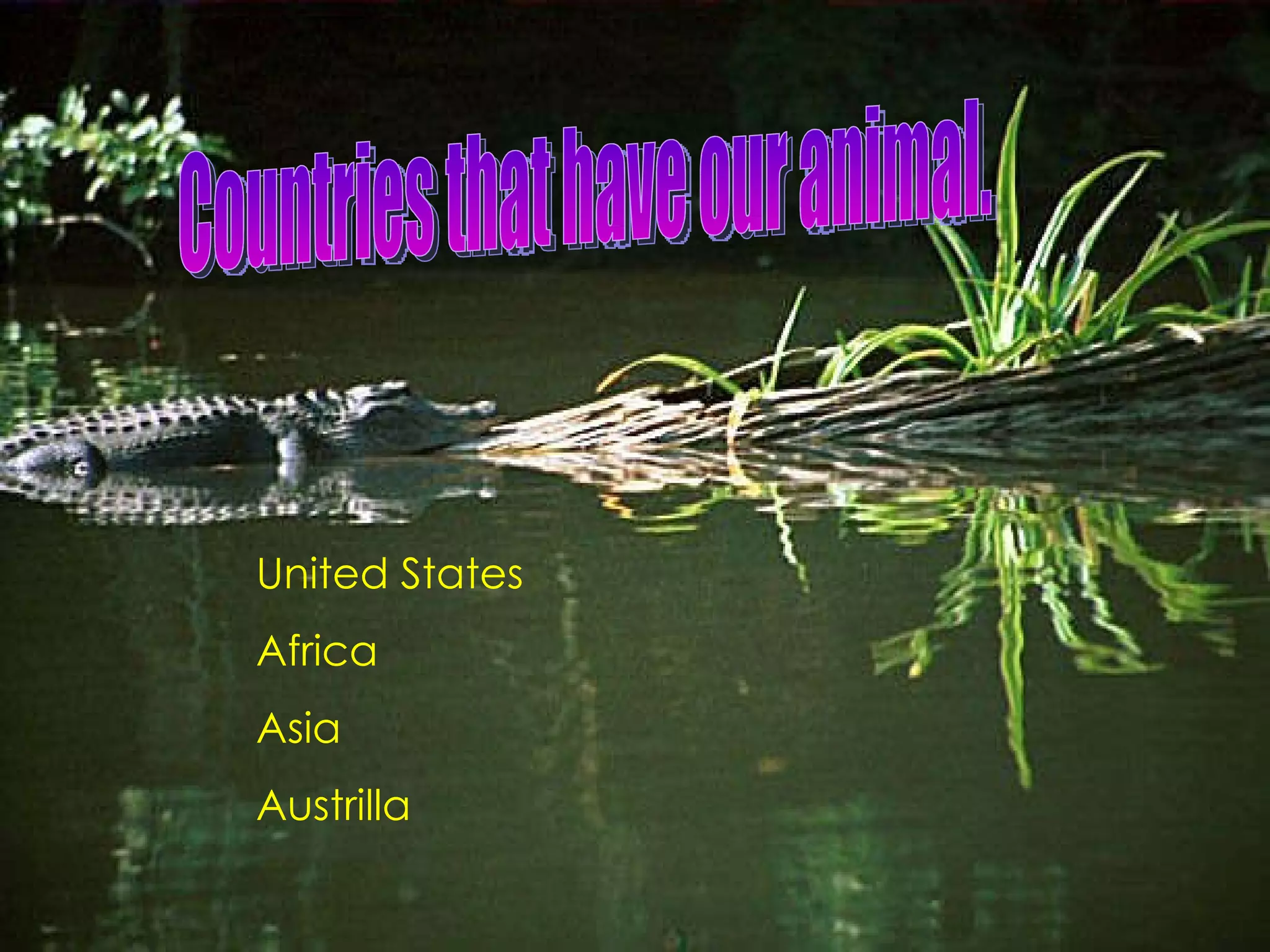 Countries that have our animal. United States Africa  Asia  Austrilla 