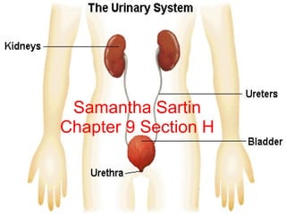 Samantha sartin chapter