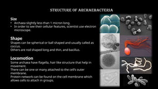 archaebacteria earliest life form microbiology | PPTX