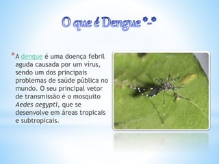 *A dengue é uma doença febril
aguda causada por um vírus,
sendo um dos principais
problemas de saúde pública no
mundo. O seu principal vetor
de transmissão é o mosquito
Aedes aegypti, que se
desenvolve em áreas tropicais
e subtropicais.
 