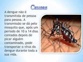 A dengue não é
transmitida de pessoa
para pessoa. A
transmissão se dá pelo
mosquito que, após um
período de 10 a 14 dias
contados depois de
picar alguém
contaminado, pode
transportar o vírus da
dengue durante toda a
sua vida.
 
