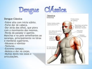 Dengue Clássica
-Febre alta com início súbito.
-Forte dor de cabeça.
-Dor atrás dos olhos, que piora
com o movimento dos mesmos.
-Perda do paladar e apetite.
Manchas e na pele semelhantes ao
sarampo, principalmente no tórax
e membros superiores.
-Náuseas e vômitos·
-Tonturas.
-Extremo cansaço.
-Moleza e dor no corpo.
-Muitas dores nos ossos e
articulações.
 