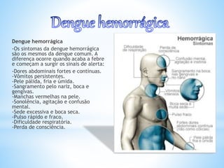 Dengue hemorrágica
-Os sintomas da dengue hemorrágica
são os mesmos da dengue comum. A
diferença ocorre quando acaba a febre
e começam a surgir os sinais de alerta:
-Dores abdominais fortes e contínuas.
-Vômitos persistentes.
-Pele pálida, fria e úmida.
-Sangramento pelo nariz, boca e
gengivas.
-Manchas vermelhas na pele.
-Sonolência, agitação e confusão
mental.
-Sede excessiva e boca seca.
-Pulso rápido e fraco.
-Dificuldade respiratória.
-Perda de consciência.
 