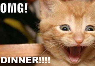 DINNER!!!!
 
