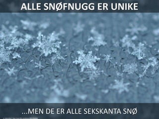 ALLE SNØFNUGG ER UNIKE
...MEN DE ER ALLE SEKSKANTA SNØ
cc: Juliancolton2 - https://www.flickr.com/photos/38857862@N06
 