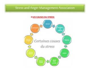 Stress andAnger Management Association
LES CAUSES DU STRESS
 